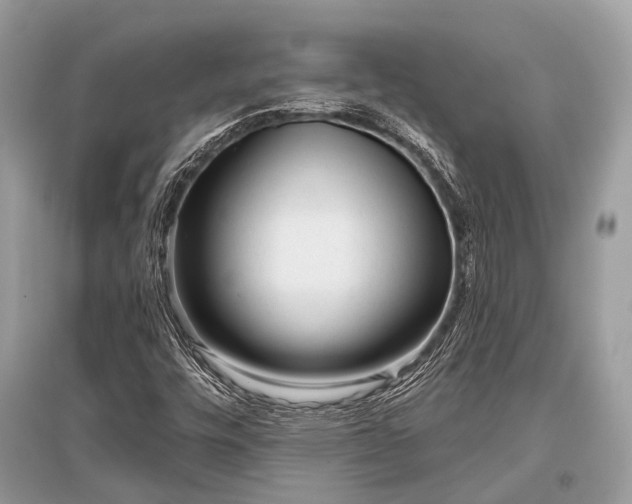 X0000096131448200801251005