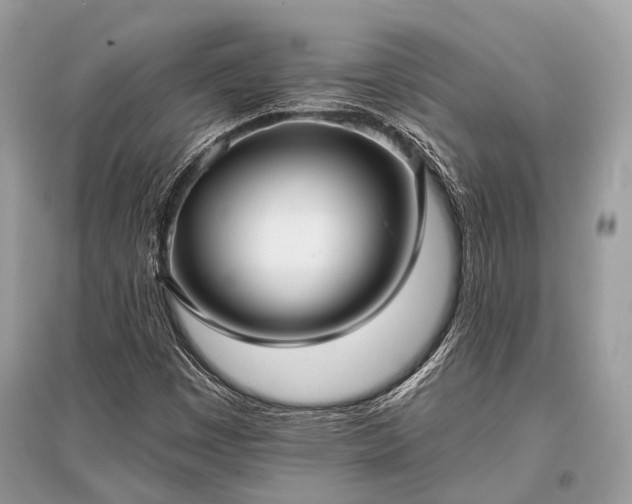 X0000096131449200801251005