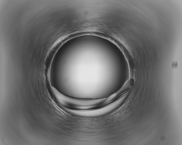 X0000096131452200801251005