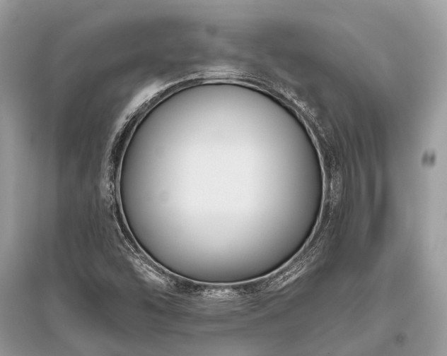 X0000096131454200801251005