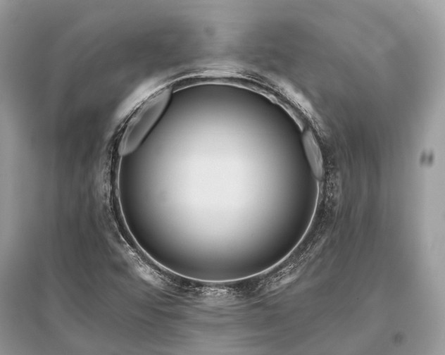 X0000096131456200801251005