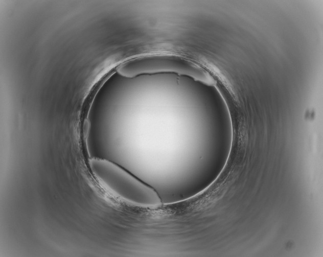 X0000096131460200801251005