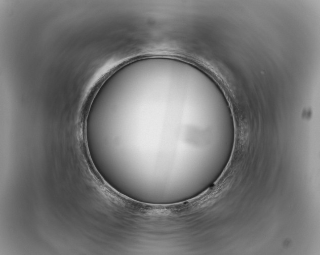X0000096131462200801251005
