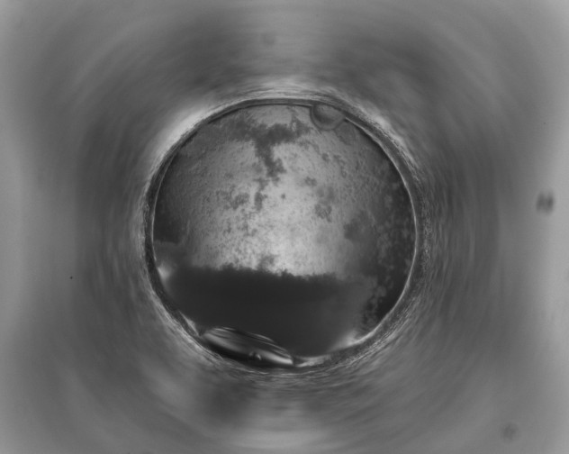 X0000096131463200801251005