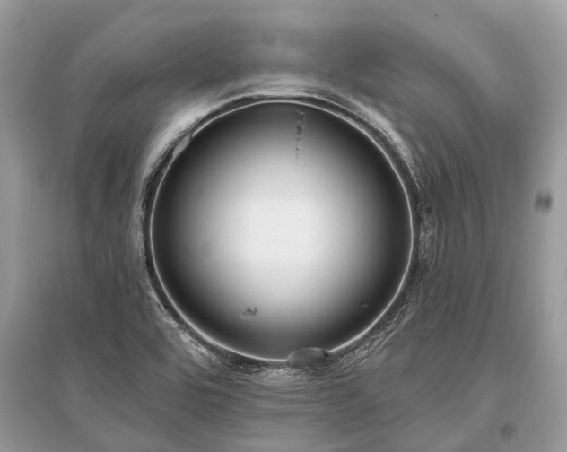 X0000096131464200801251005