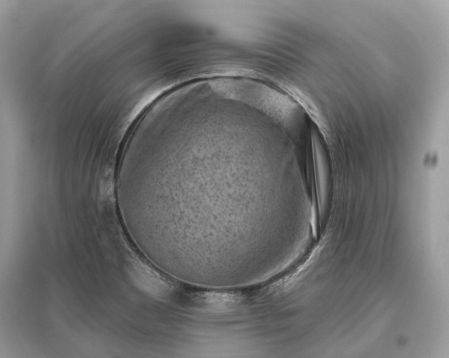 X0000096131465200801251005