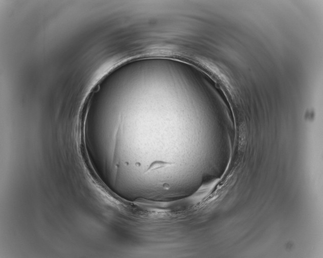 X0000096131467200801251005