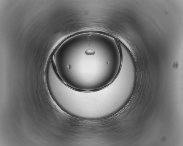X0000096131468200801251005
