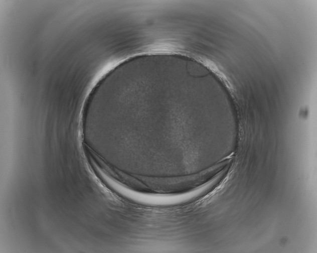 X0000096131469200801251005