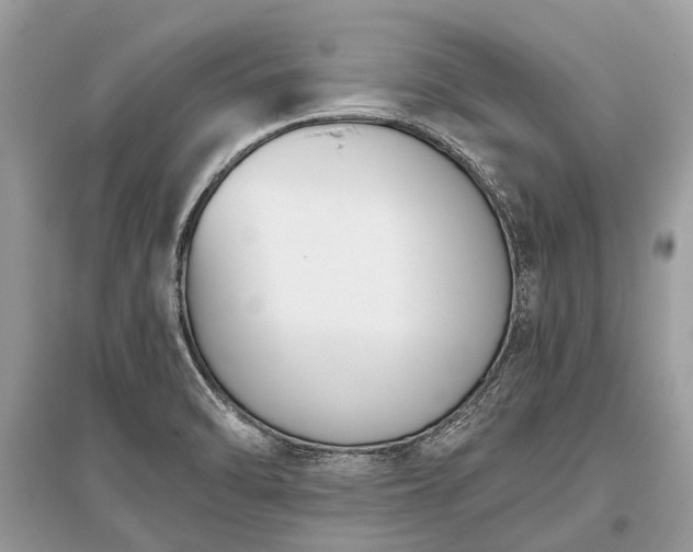 X0000096131470200801251005