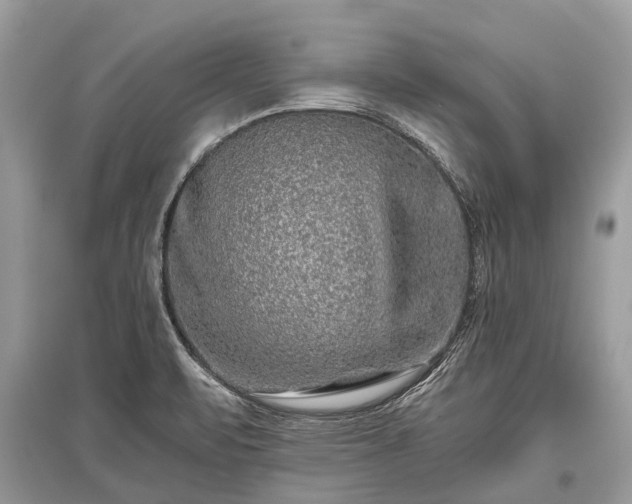 X0000096131471200801251004