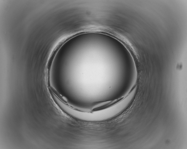 X0000096131472200801251004