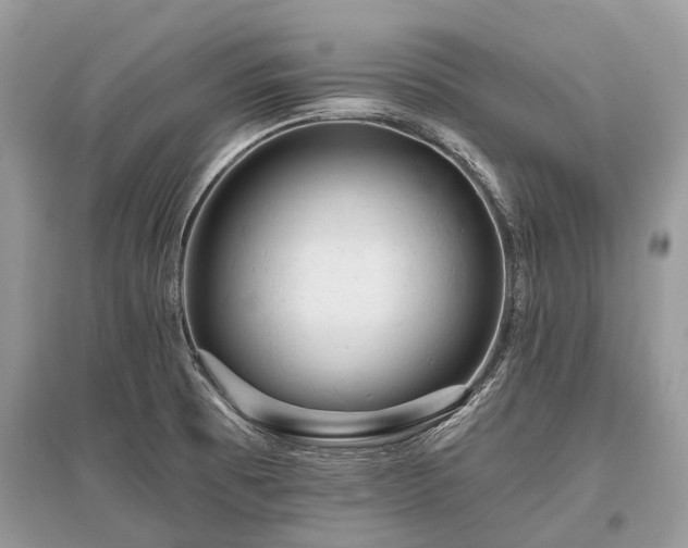 X0000096131473200801251004