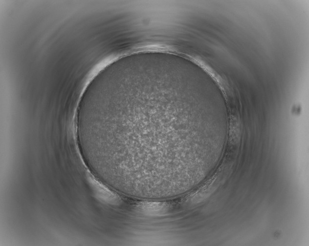 X0000096131474200801251004