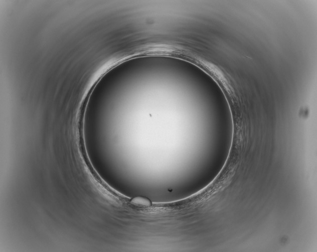 X0000096131475200801251004