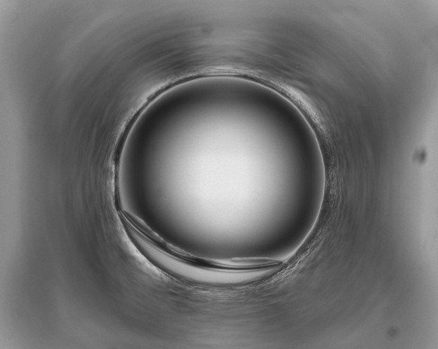 X0000096131476200801251004
