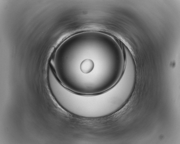 X0000096131477200801251004