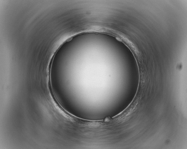X0000096131479200801251004
