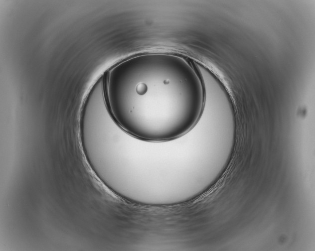 X0000096131480200801251004