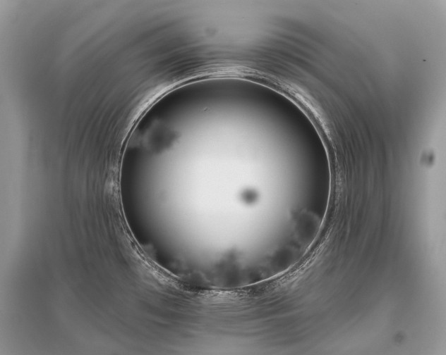 X0000096131481200801251004
