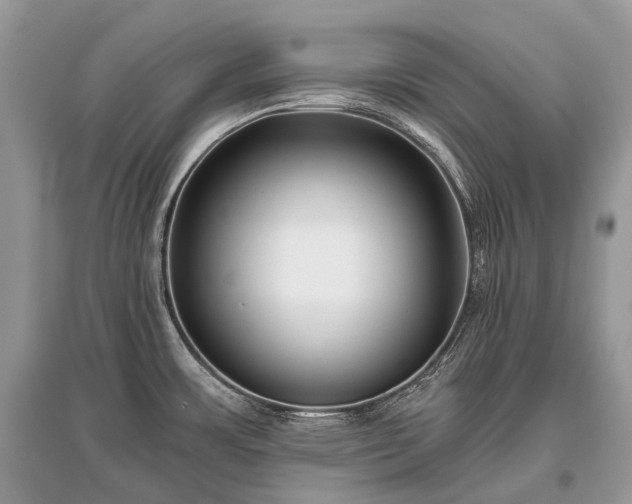 X0000096131483200801251004