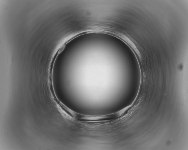 X0000096131485200801251004