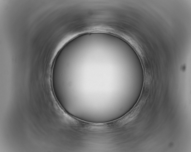 X0000096131486200801251004