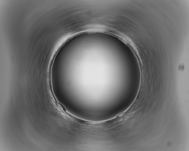 X0000096131488200801251004