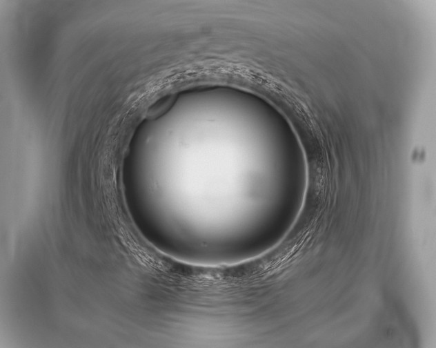 X0000096131489200801251003
