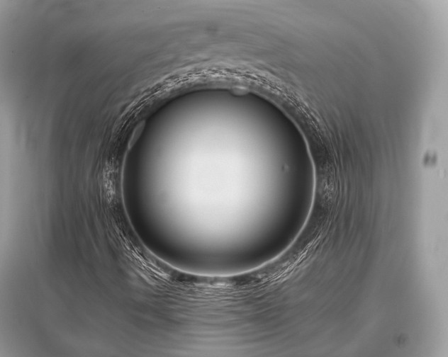 X0000096131490200801251003