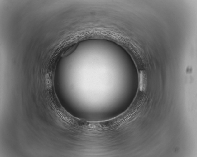X0000096131491200801251003