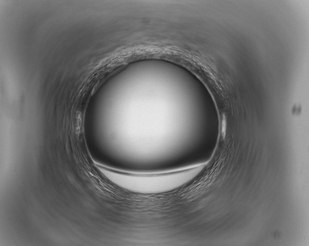 X0000096131492200801251003