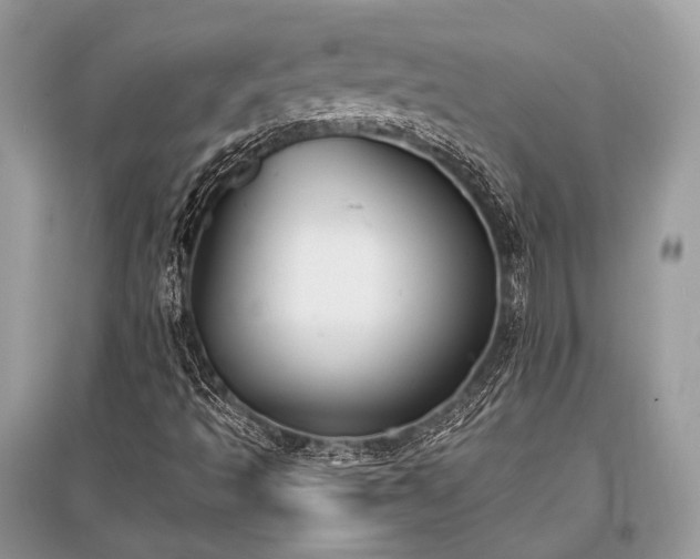 X0000096131493200801251003