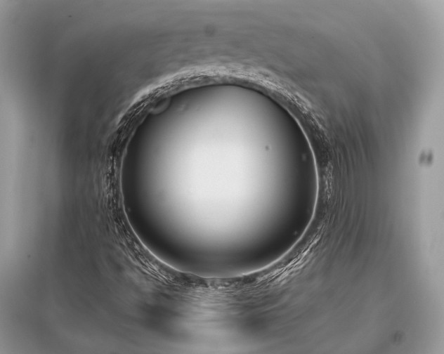 X0000096131494200801251003