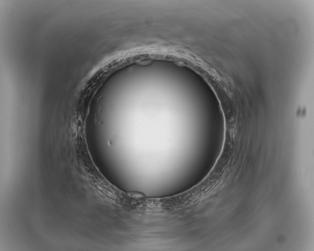 X0000096131495200801251003