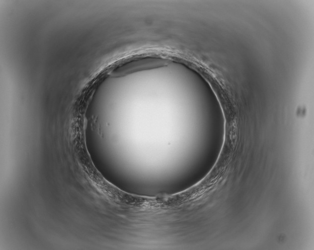X0000096131496200801251003