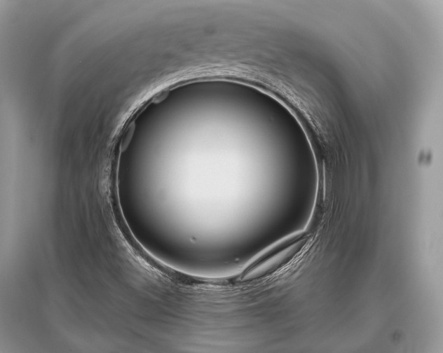 X0000096131500200801251003