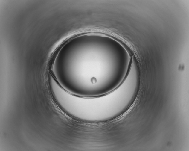 X0000096131502200801251003