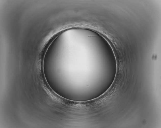 X0000096131503200801251004