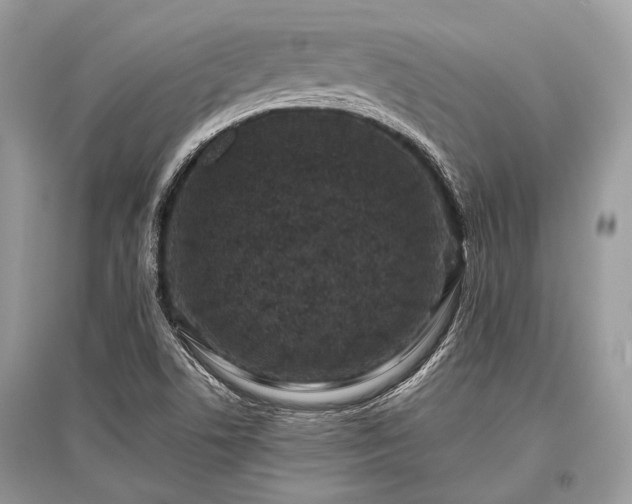 X0000096131506200801251004