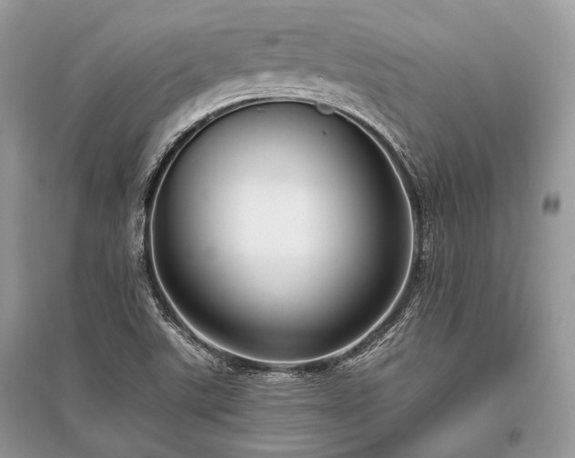 X0000096131507200801251004