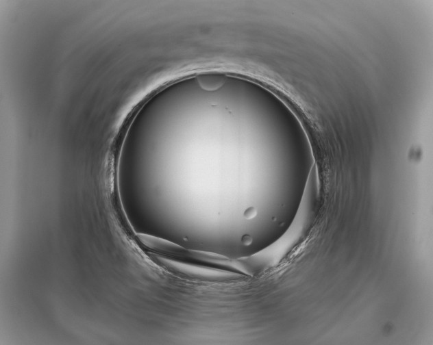 X0000096131510200801251004