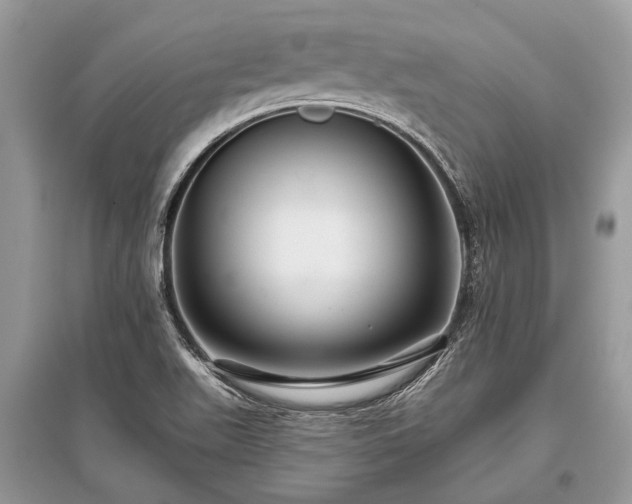 X0000096131511200801251004