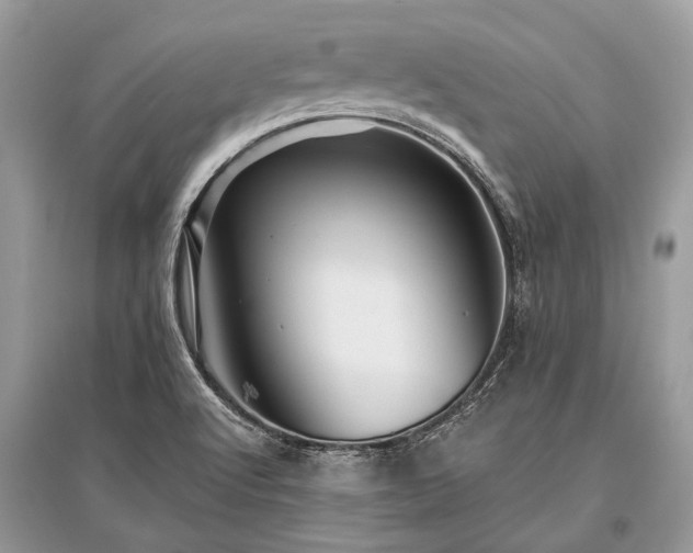 X0000096131512200801251004