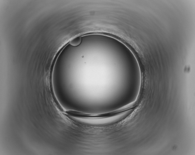X0000096131513200801251004