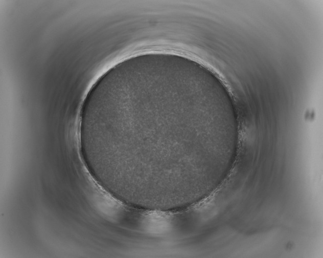 X0000096131514200801251004