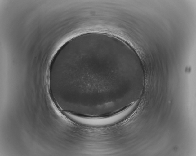 X0000096131515200801251004