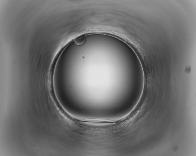 X0000096131517200801251004