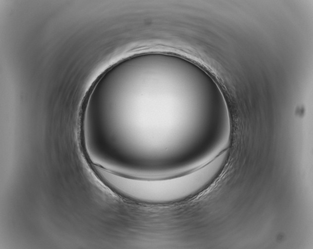 X0000096131518200801251004