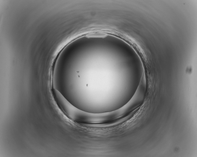 X0000096131520200801251004